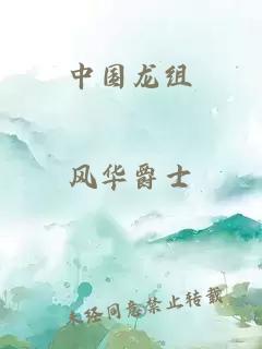 中国龙组